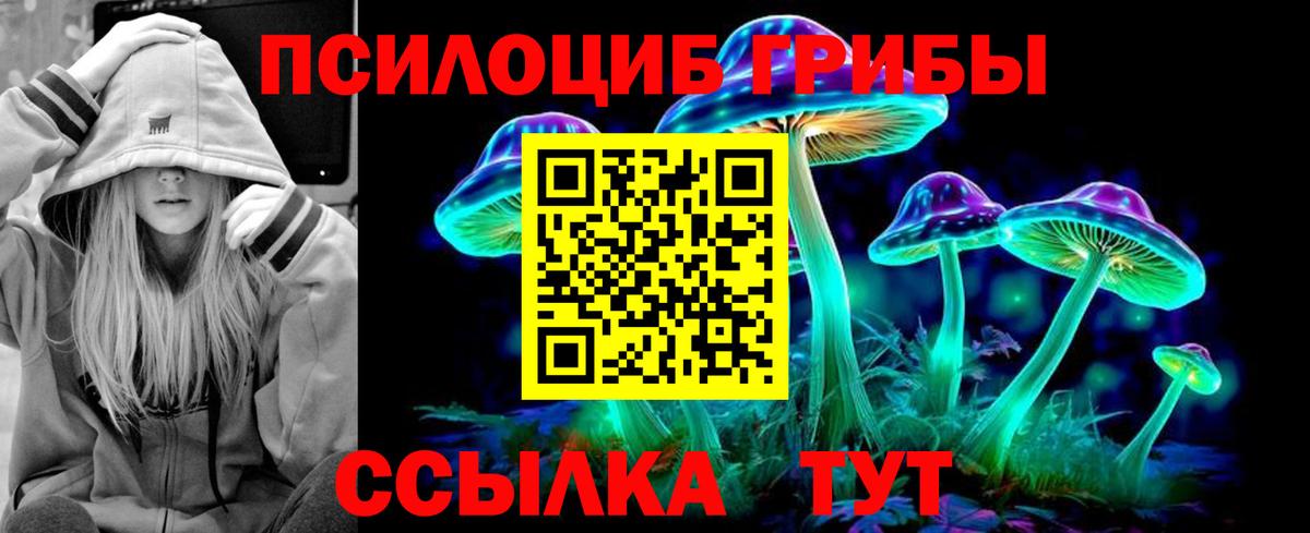 Белогорск  Псилоцибиновые грибы мицелий  Вход с VPN  Псилоцибиновые грибы Cubensis 